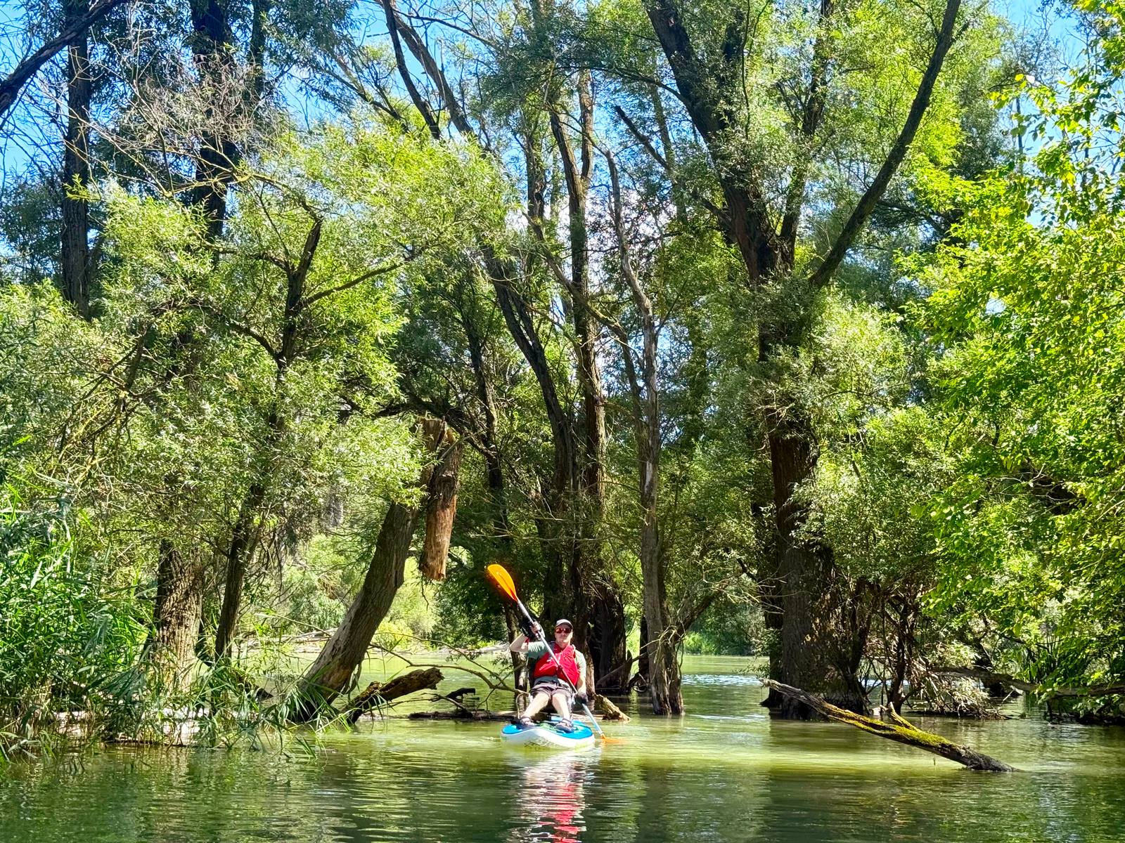 Paddleboard